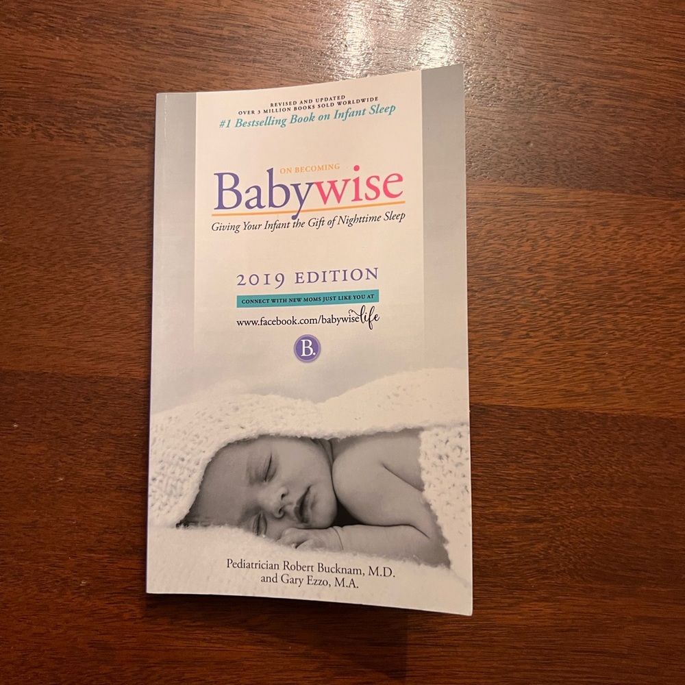 Babywise 2019 Edition Book